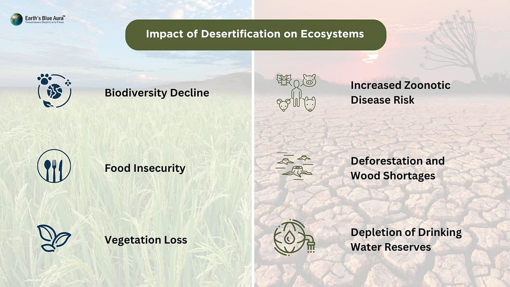 Impact of Desertification on Ecosystems