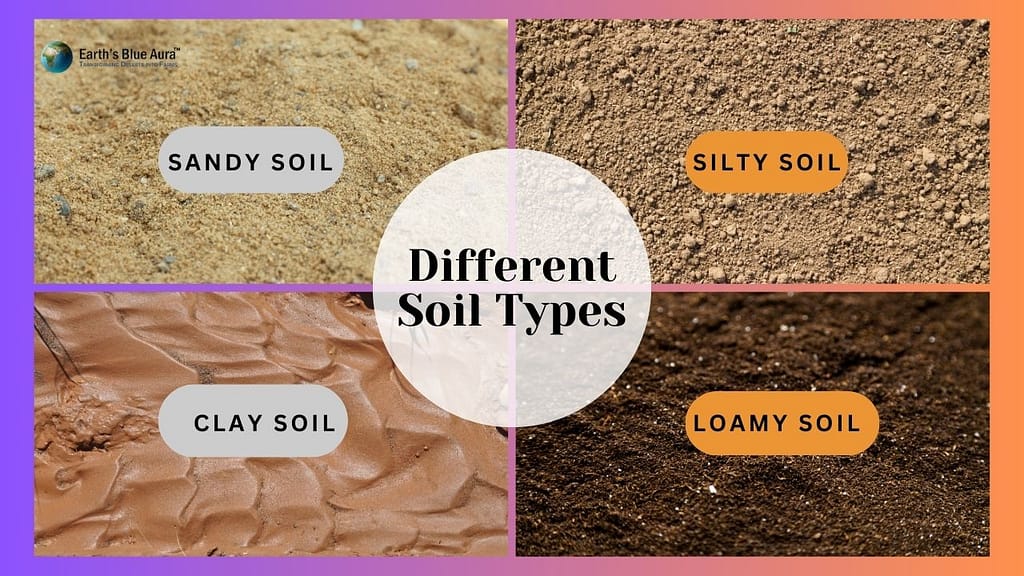 Understanding Soil Quality: An In-depth Analysis To Sustainable Farming