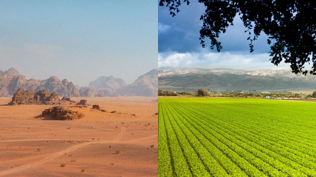 Enhancing the Fertility of Deserts Holds Crucial Importance for Several Reasons