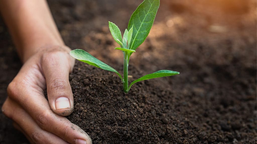 Soil Conditioning