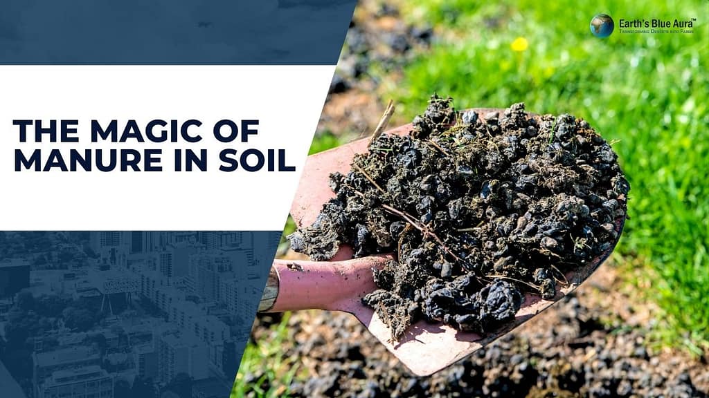 The Magic of Manure in Soil