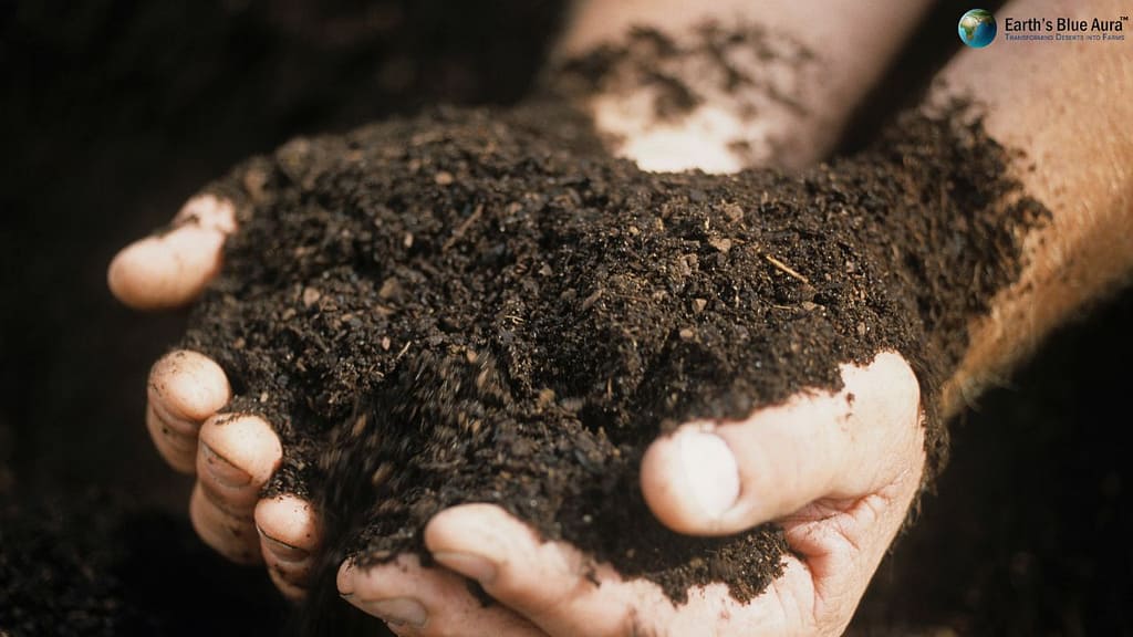 How and Why Does Soil Fertility Matter?
