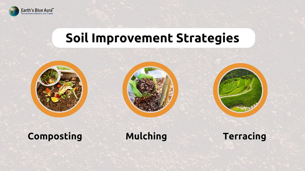Soil Improvement Strategies