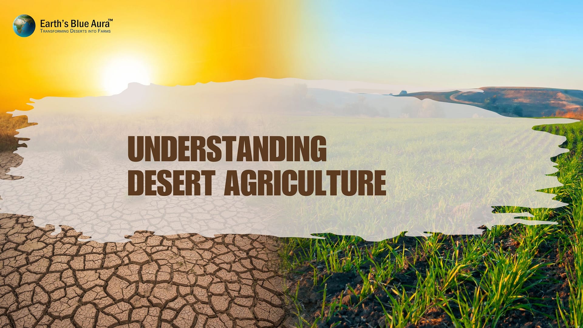 Desert Farming Technology: Cultivating Sustainability In Arid Regions