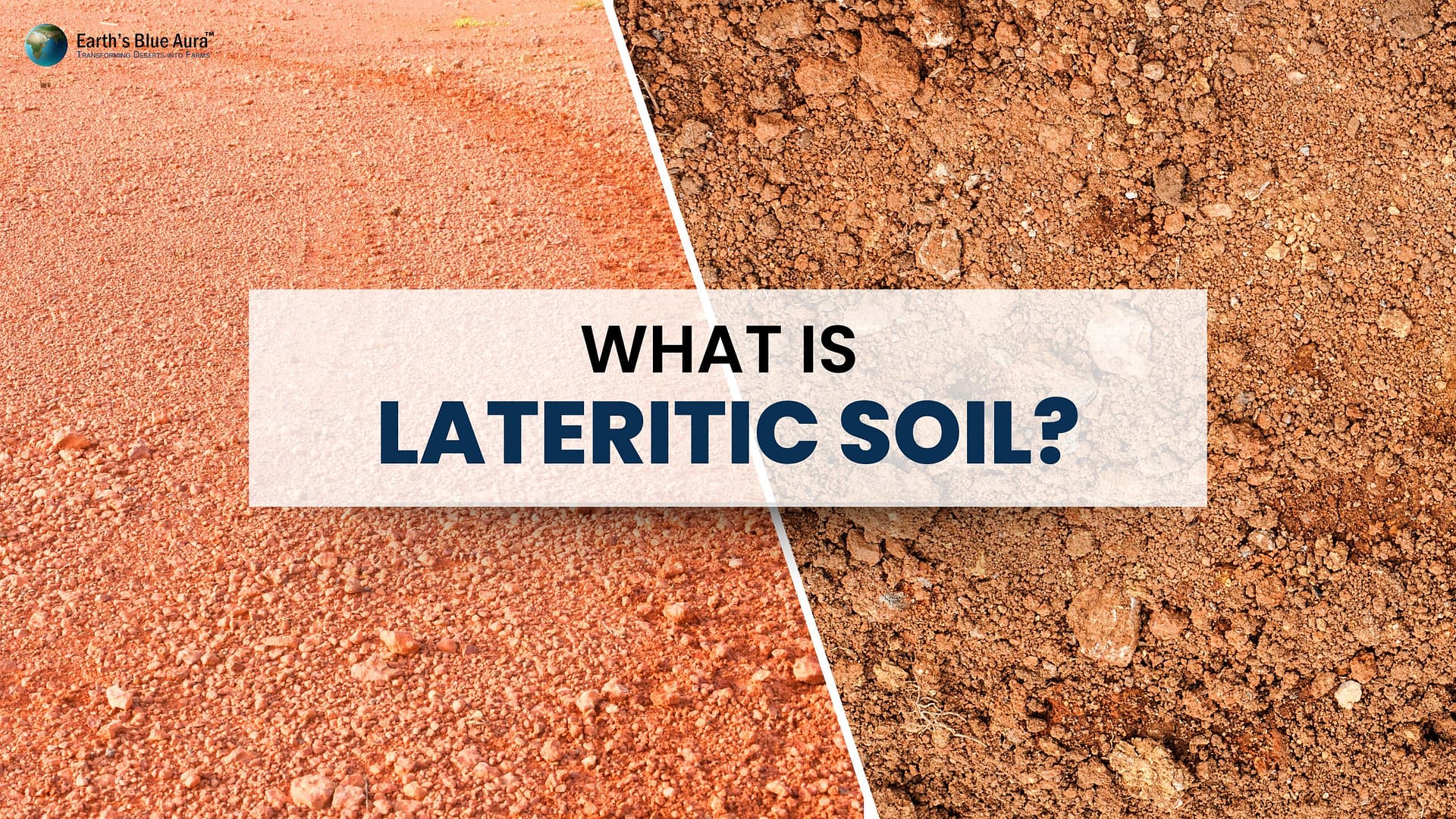 Understanding Laterite Soil: A Complete Overview