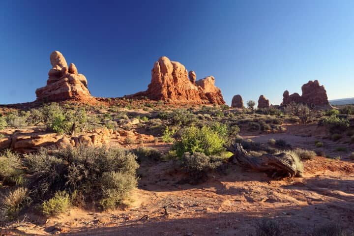 desert Monitoring