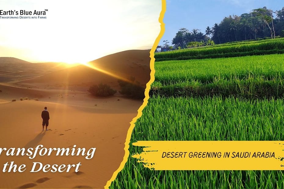 Transforming the Desert: A Guide to Desert Greening in Saudi Arabia