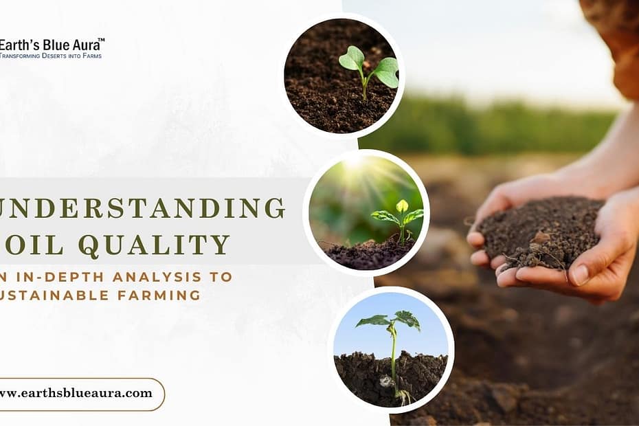Understanding Soil Quality An In-depth Analysis to Sustainable Farming