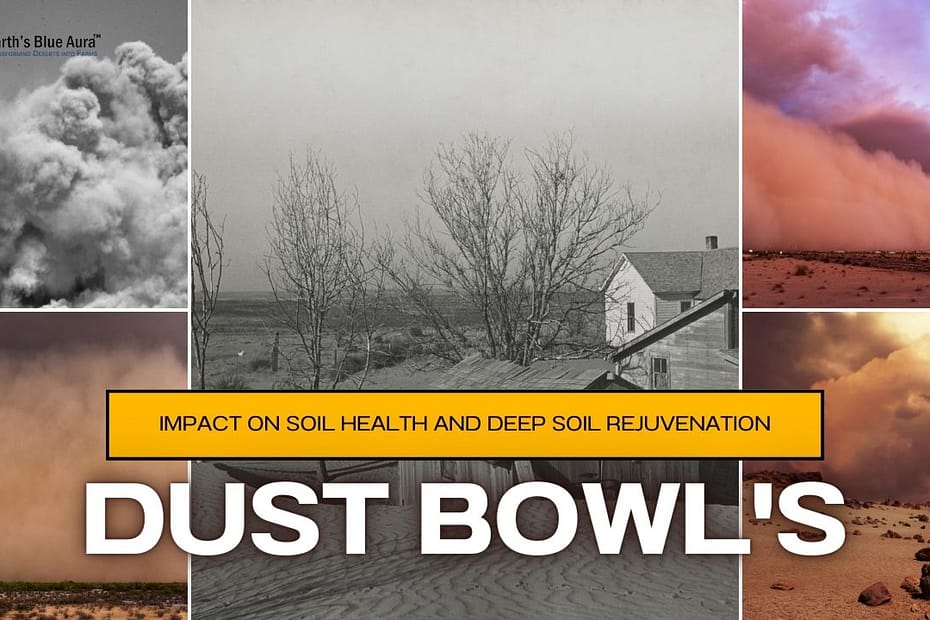 Dust Bowl's Impact on Soil Health and Deep Soil Rejuvenation