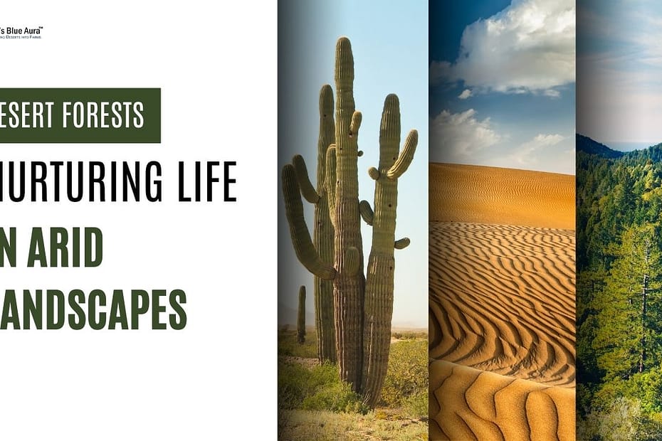 Desert Forests: Nurturing Life in Arid Landscapes
