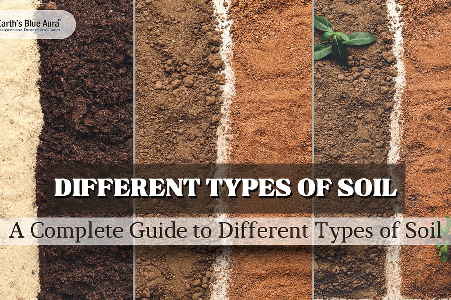 A Complete Guide to Different Types of Soil