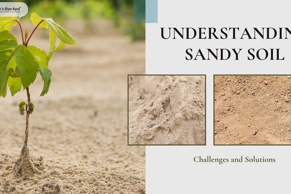 Understanding Sandy Soil: Challenges and Solutions