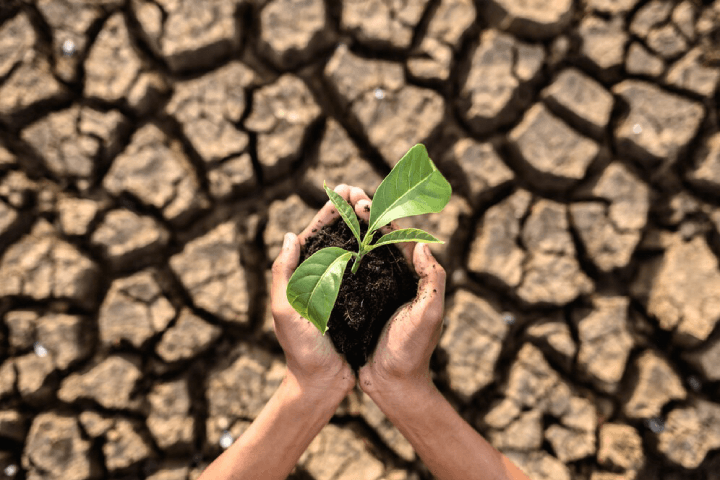 Soil Erosion