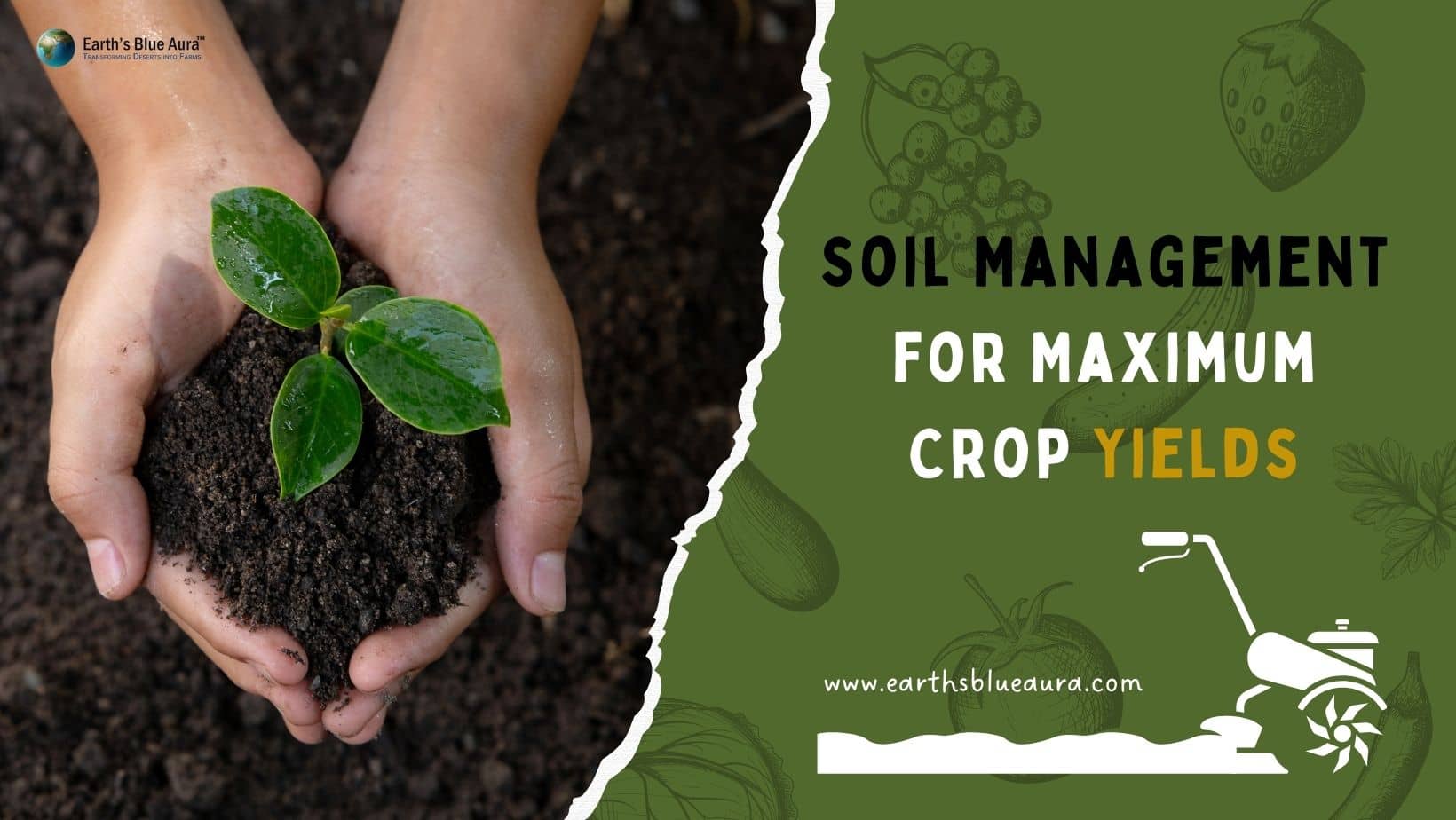 An Overview of Soil Management for Maximum Crop Yields