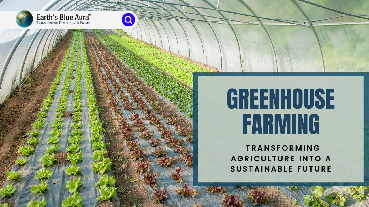Greenhouse Farming: Transforming Agriculture into a Sustainable Future