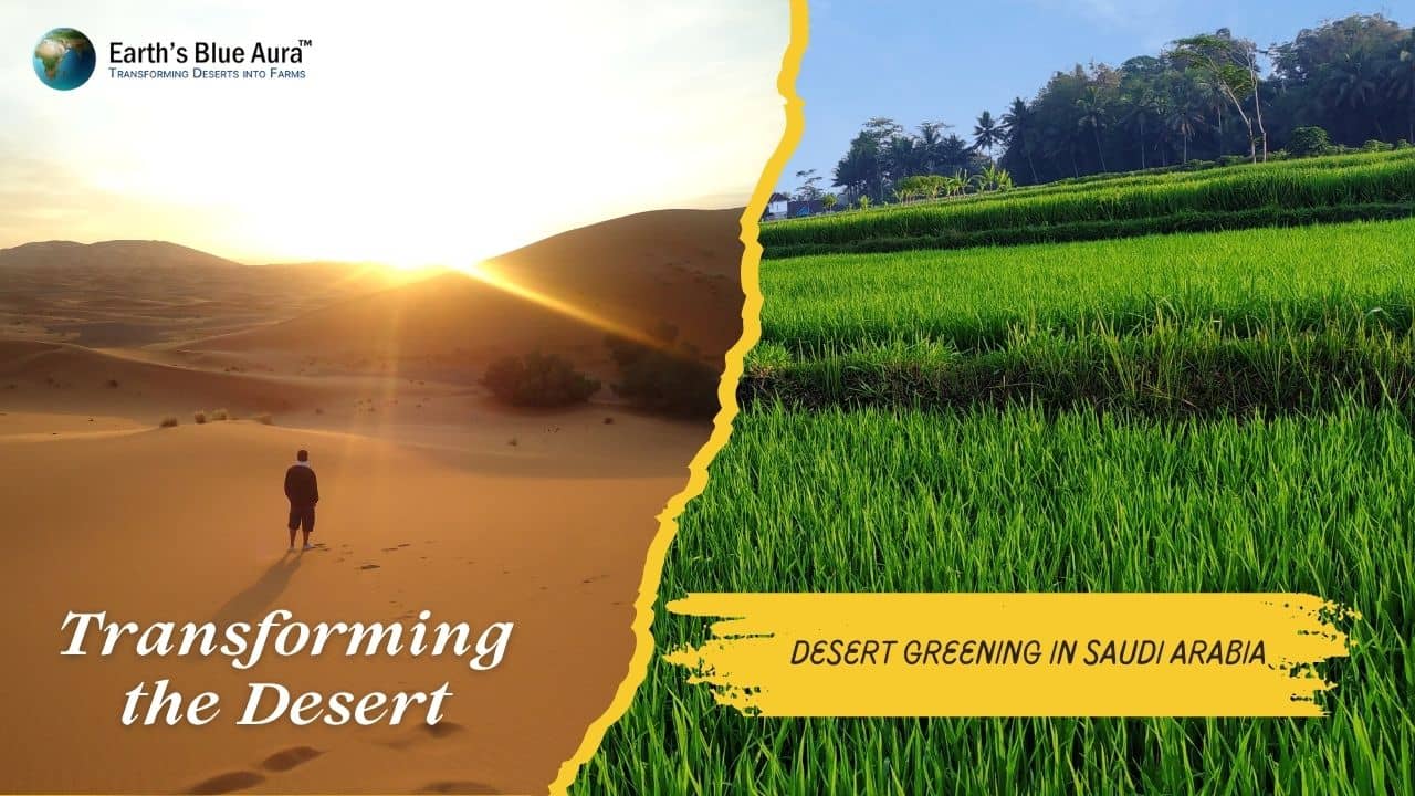 Transforming the Desert: A Guide to Desert Greening in Saudi Arabia
