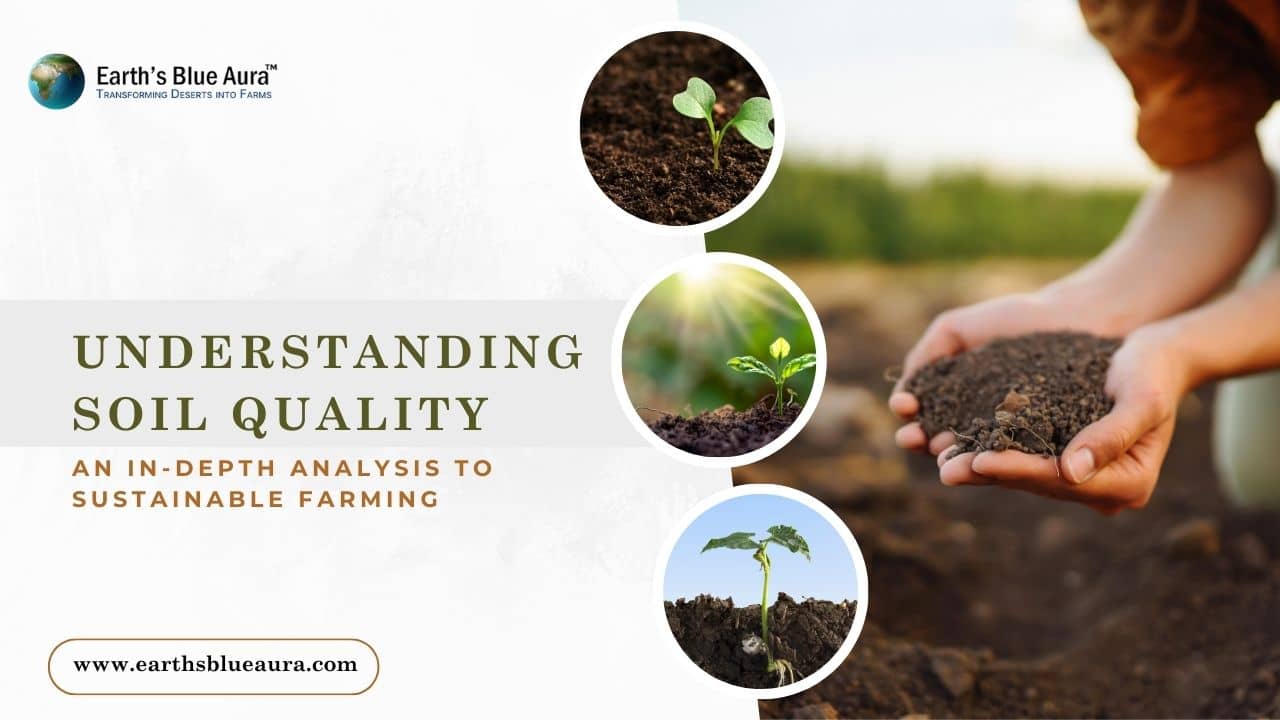 Understanding Soil Quality: An In-depth Analysis to Sustainable Farming