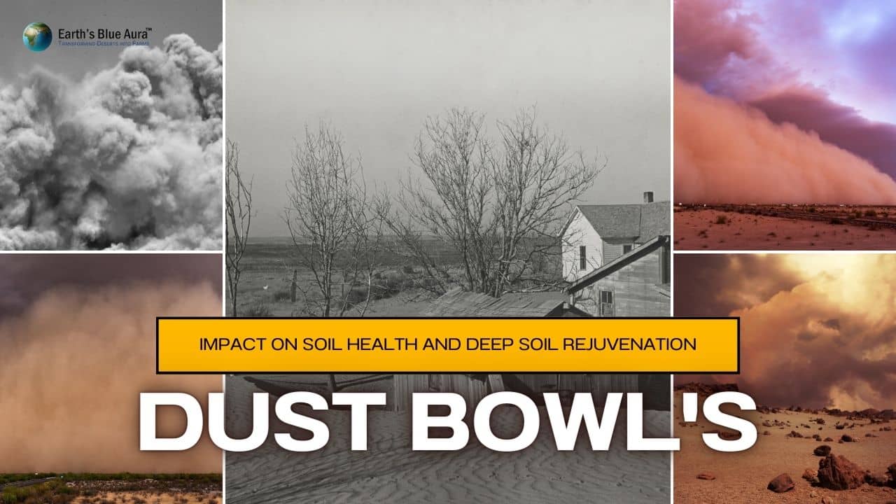 Dust Bowl’s Impact on Soil Health and Deep Soil Rejuvenation