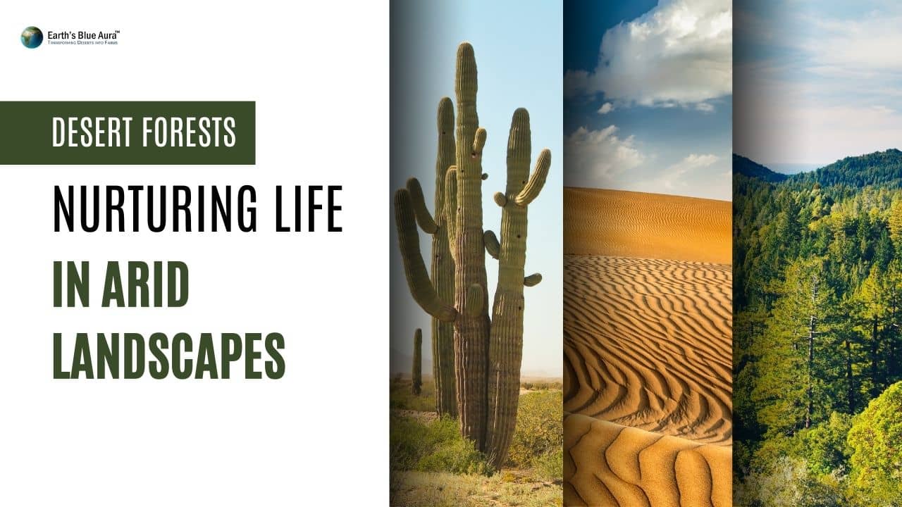 Desert Forests: Nurturing Life In Arid Landscapes