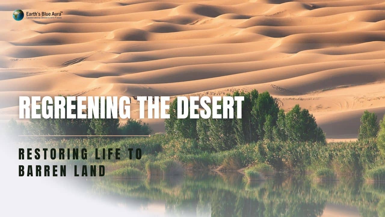 Regreening the Desert: Restoring Life to Barren Land