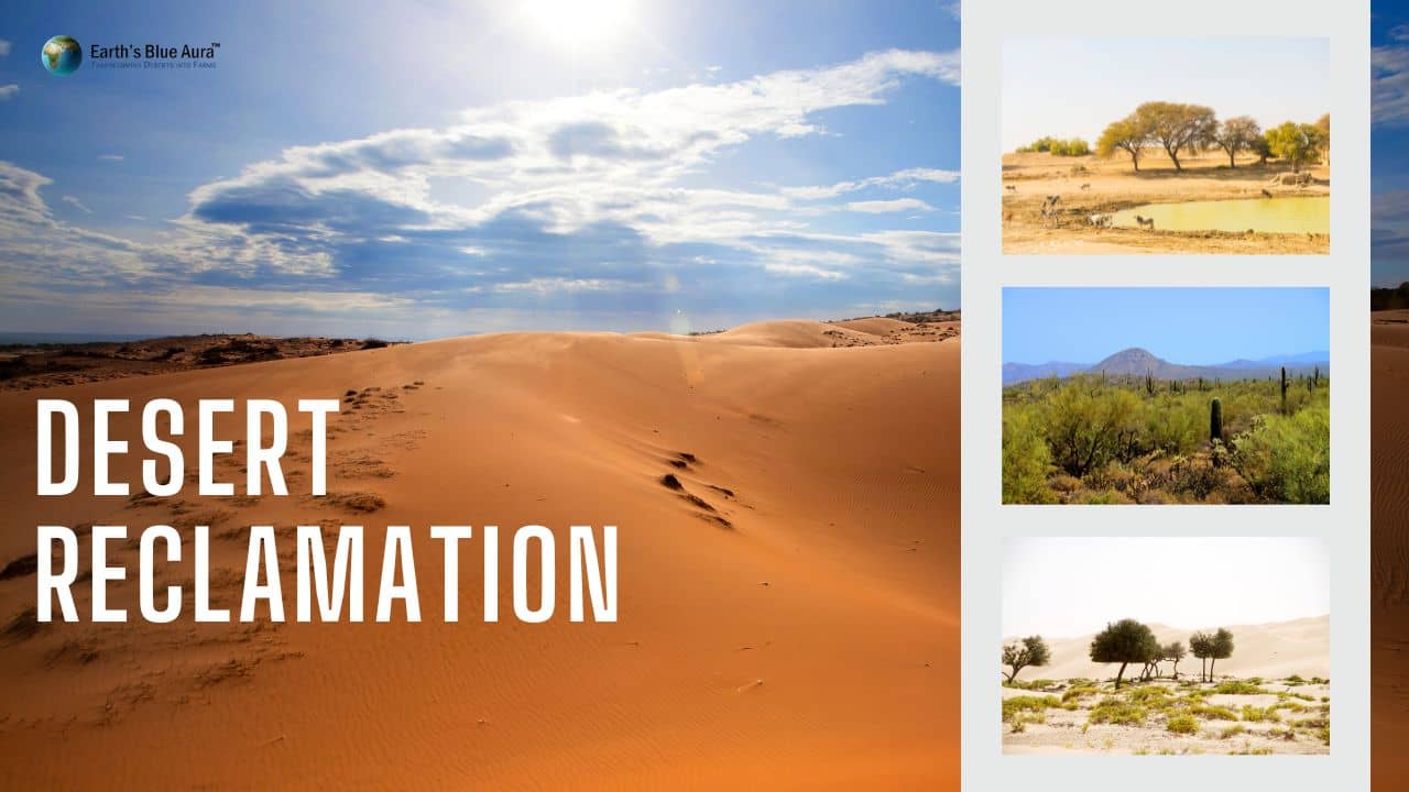 Desert Reclamation: Converting Deserts Into Life-Sustaining Ecosystems